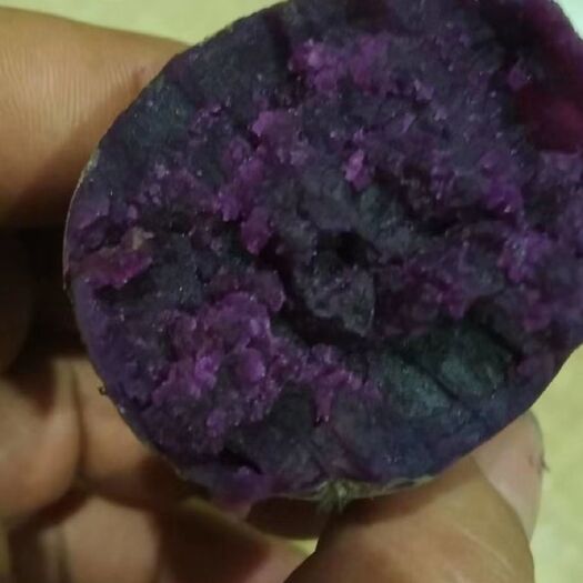 勐腊县紫罗兰紫薯 货源充足！电商！市场货都有！找长期合作伙伴