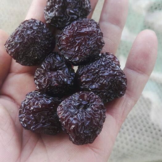 乐陵市黑枣 精选圆乌枣，核小肉厚，补气，养胃美颜，产地批发，欢迎选购