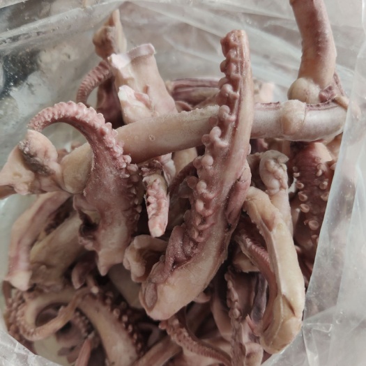 荣成市鱿鱼须 脆口章鱼须