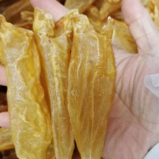 汕头 年份黄花胶，胶质不错