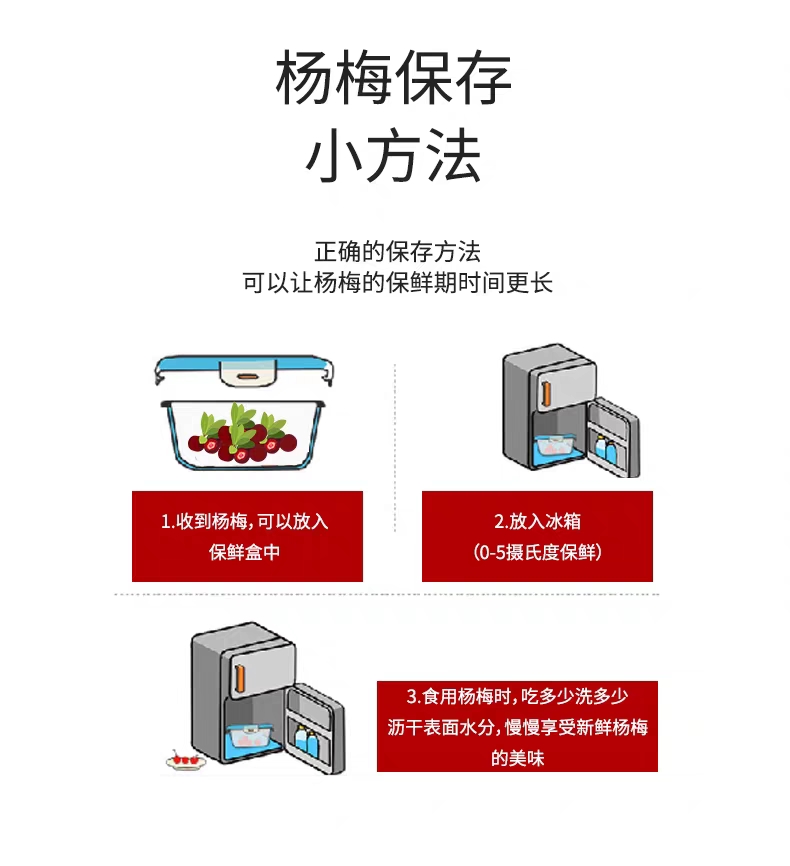  余姚丈亭梅溪杨梅高山杨梅无污染可吃杨梅