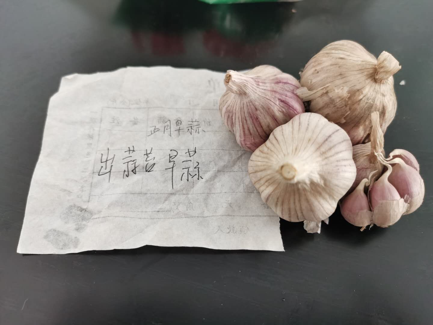 红帽蒜苔  专出蒜苔的蒜种正月早，腊月早。春节期间大量产蒜苔