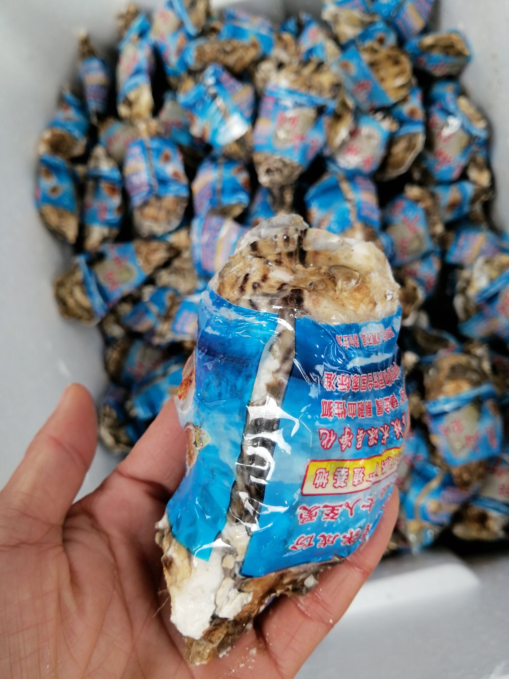 乳山牡蛎 乳山三倍体生蚝，3-4两8.5/斤