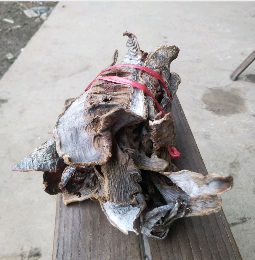  湖南祁阳农家自制干笋，全部楠竹笋尖传统工艺精制而成的干笋笋干