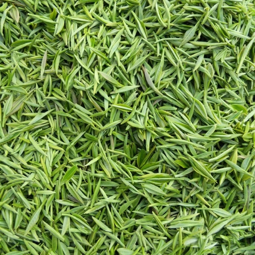秭归县高山绿茶，欢迎选购