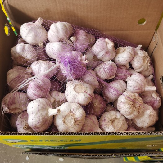 平邑县大蒜 普白纯白紫皮红皮新蒜规格34567公分基地直销出口蒜米蒜片
