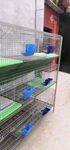 本交笼 欧式风格免清粪的降价了，多大型号都有，欢迎订购，价格实惠