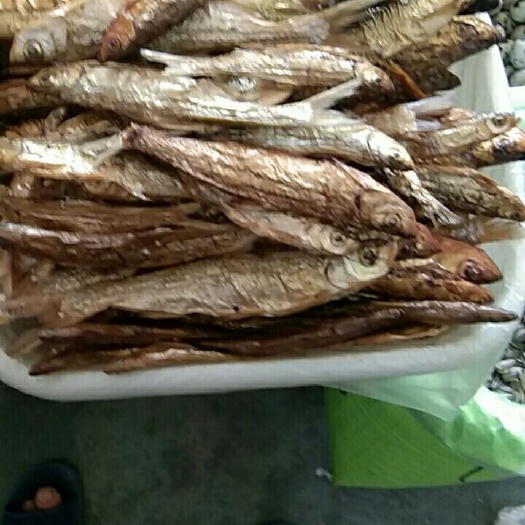 望谟县翘嘴白鱼干 正品小白条干鱼