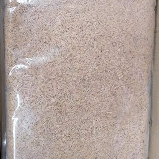 漳州蛋白质饲料 高蛋白饲料冷冻蝇蛆