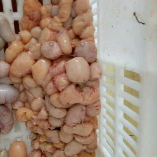 雞腰子  破損雞腎用于包子餃子，抄手,元子餡料，炒蛋，蒸蛋