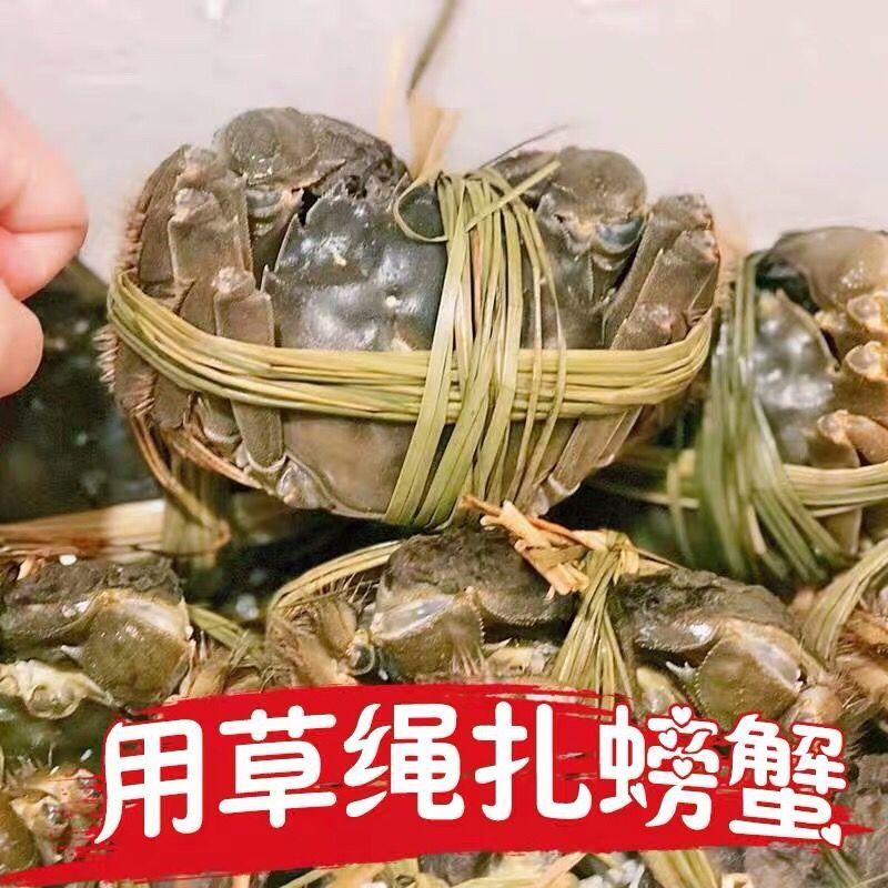 捆扎绳   天然的粽子草绳