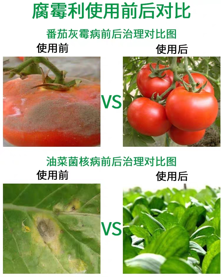 日友速克灵50%腐霉利韭菜草霉灰霉病叶霉病菌核病蔬菜杀菌剂