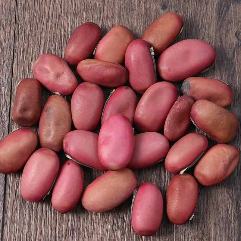 正品红刀豆籽 当季新货中药材红刀豆子 干净无杂一公斤起包邮