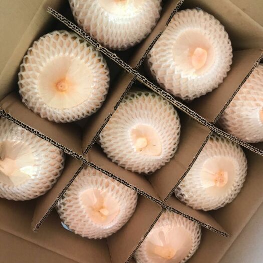 文昌市海南椰青4／9个新鲜椰子优惠包邮（欢迎电商谈合作一件代发）