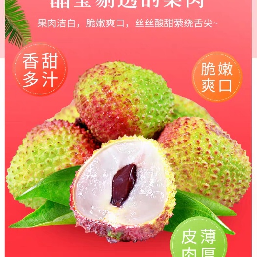 厦门白腊荔枝 1.5cm