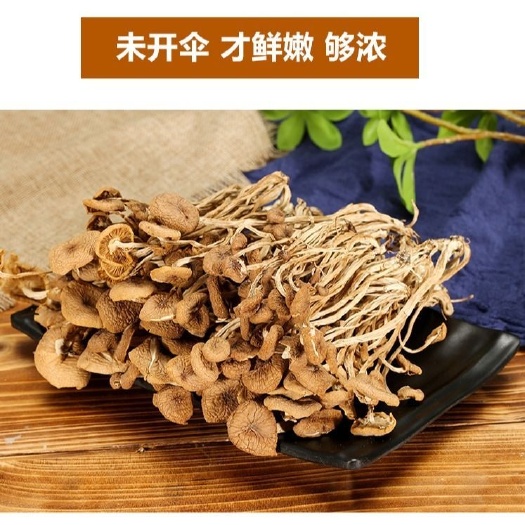 古田县普通茶树菇 不开伞，新货