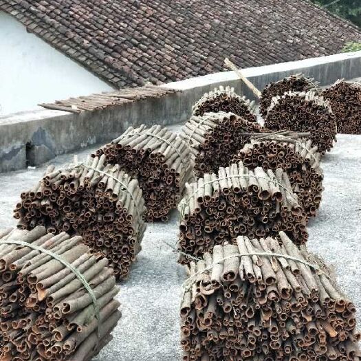 肇庆中通桂皮