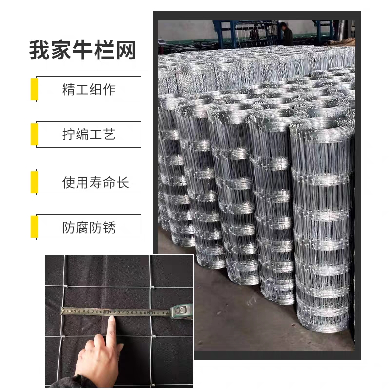 热镀锌钢丝网果园网鸡鸭鹅牛羊鹿网圈山地铁丝网荷兰网出口级