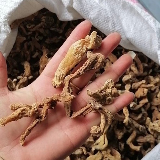 博罗县 黄精：干货