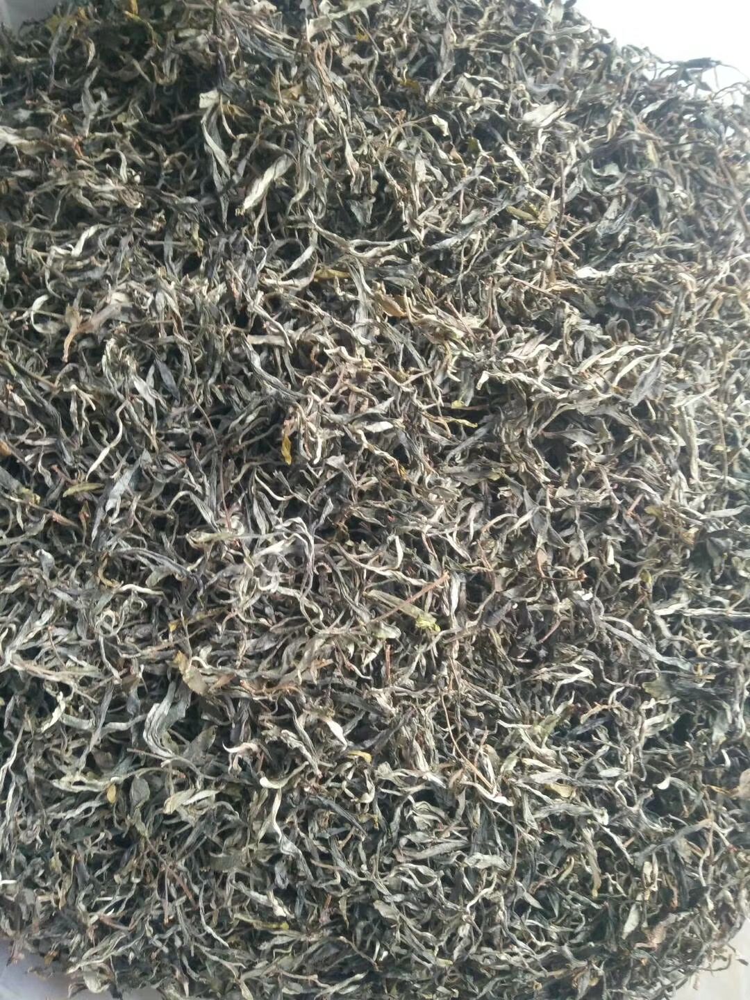 古树普洱茶 2020年古树春茶