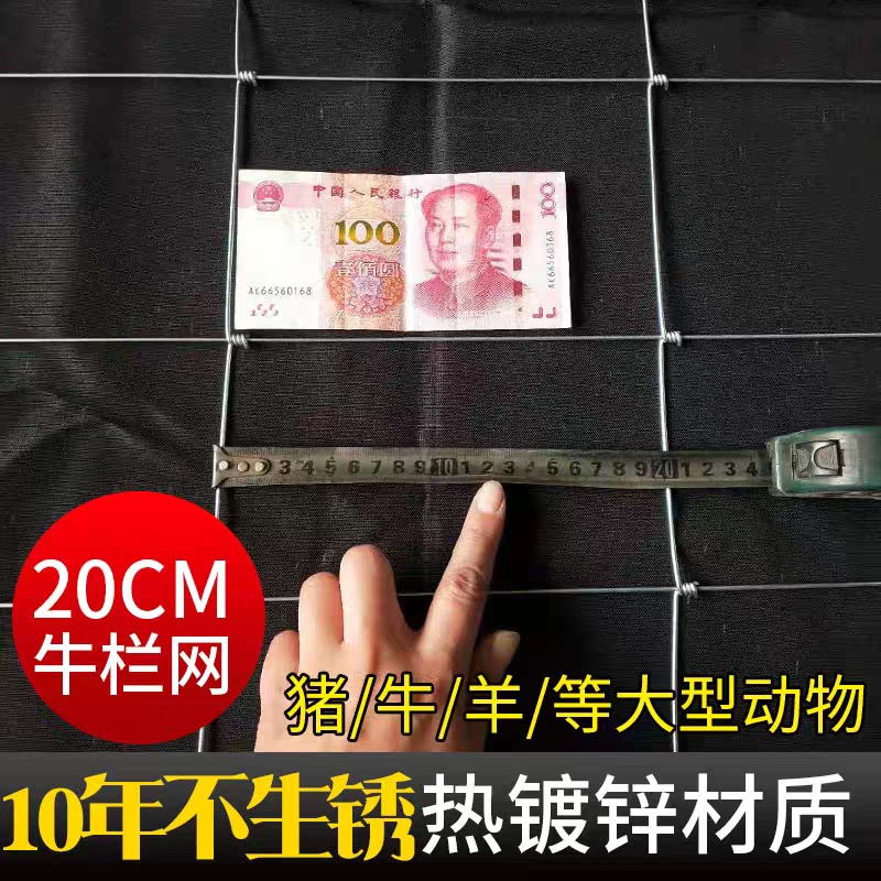 热镀锌钢丝网果园网鸡鸭鹅牛羊鹿网圈山地铁丝网荷兰网出口级