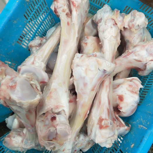 献县牛骨髓  牛棒骨 圆棒二棒