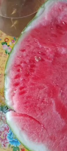 团风县 西瓜