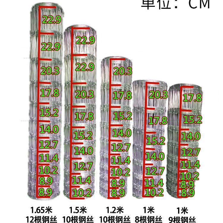 热镀锌钢丝网果园网鸡鸭鹅牛羊鹿网圈山地铁丝网荷兰网出口级