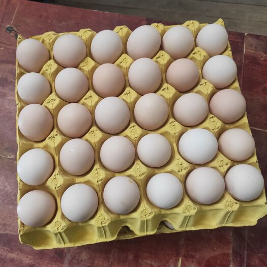 澧县粉壳蛋  精品包装
