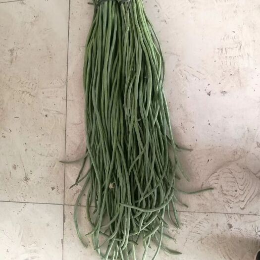 金乡县长豇豆 质量有保障。货源充足