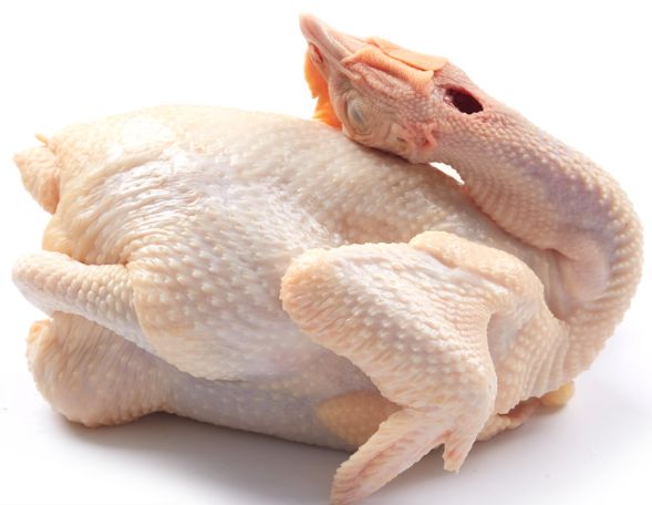 深圳海南文昌鸡 文昌鸡(*鸡现杀,深圳生鲜批发配送)