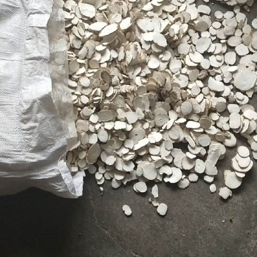 滕州市 白芷出货，质量保证，量大优惠