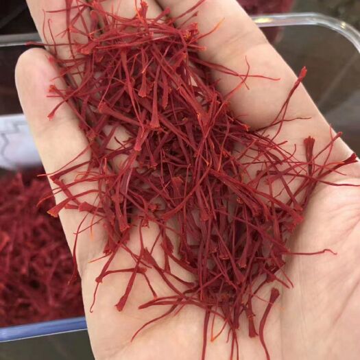 格尔木市藏红花花丝 伊朗红花，，10克起批发