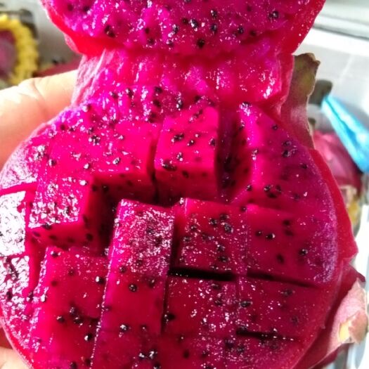 南宁金都一号火龙果 中（5-7两）