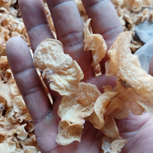 鱼台县羊肚耳