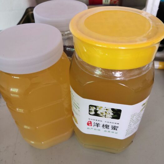 佛山 真正的纯蜂蜜
