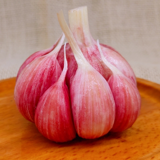 莘县 良心大蒜  本本分分大蒜种植户   良心大蒜