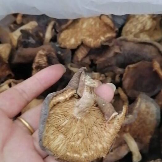 花菇 冬菇