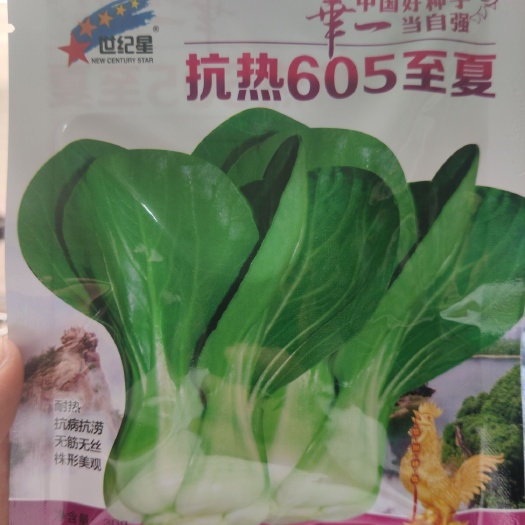 夏邑县上海青种子 抗热605至夏 耐热 抗病抗涝 无筋无丝 株型美观