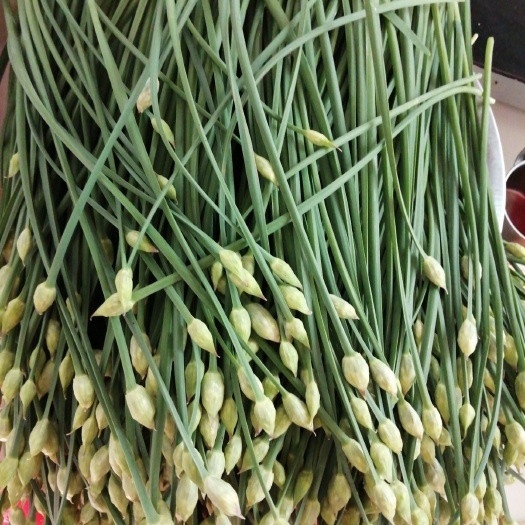  新鲜韭菜花，清脆可口，无公害绿色有机蔬菜