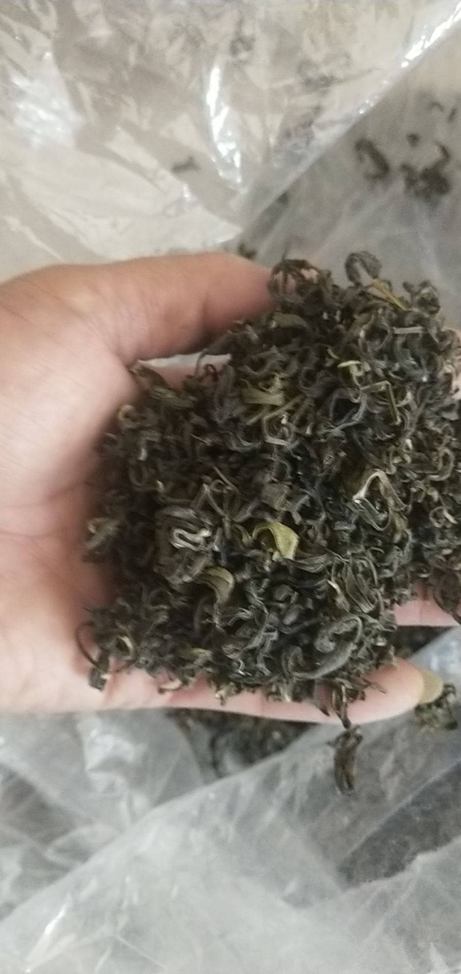 金萱绿茶 春茶，清明茶，味醇甘浓香，色香味具全，口齿喉咙留香