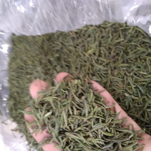 开化县野生绿茶 龙顶茶