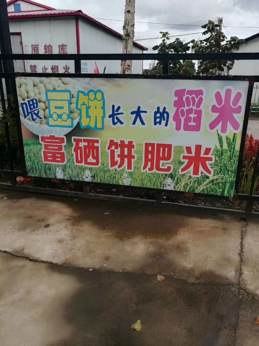 五常龙凤山原产地稻花香大米10斤礼盒包邮，诚邀合作共同发展。