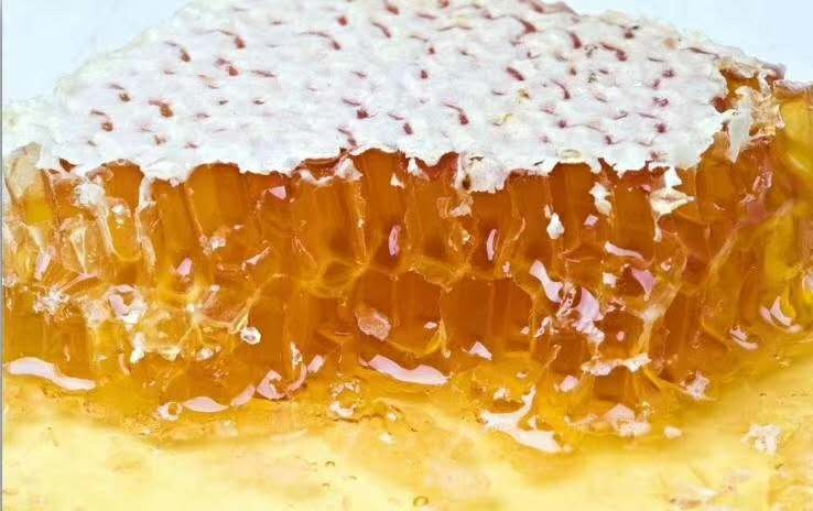 兴义市野菊花蜂蜜 我是养蜂的，有几十箱蜂子，现在有两百斤蜂糖
