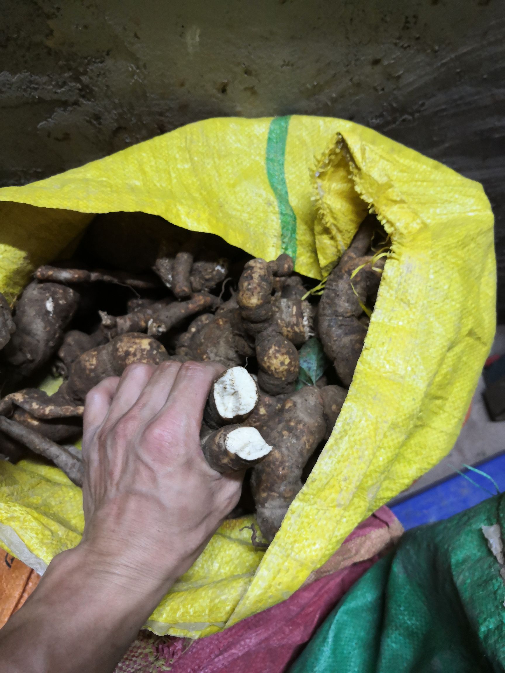 防己 ，江西货，广东货