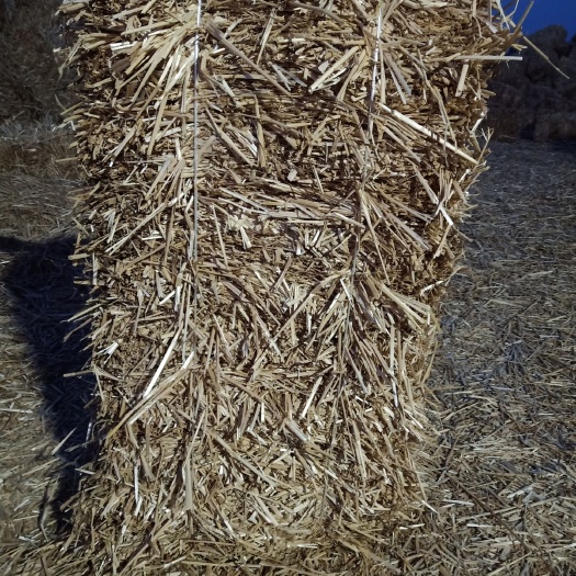 阜阳小麦秸秆