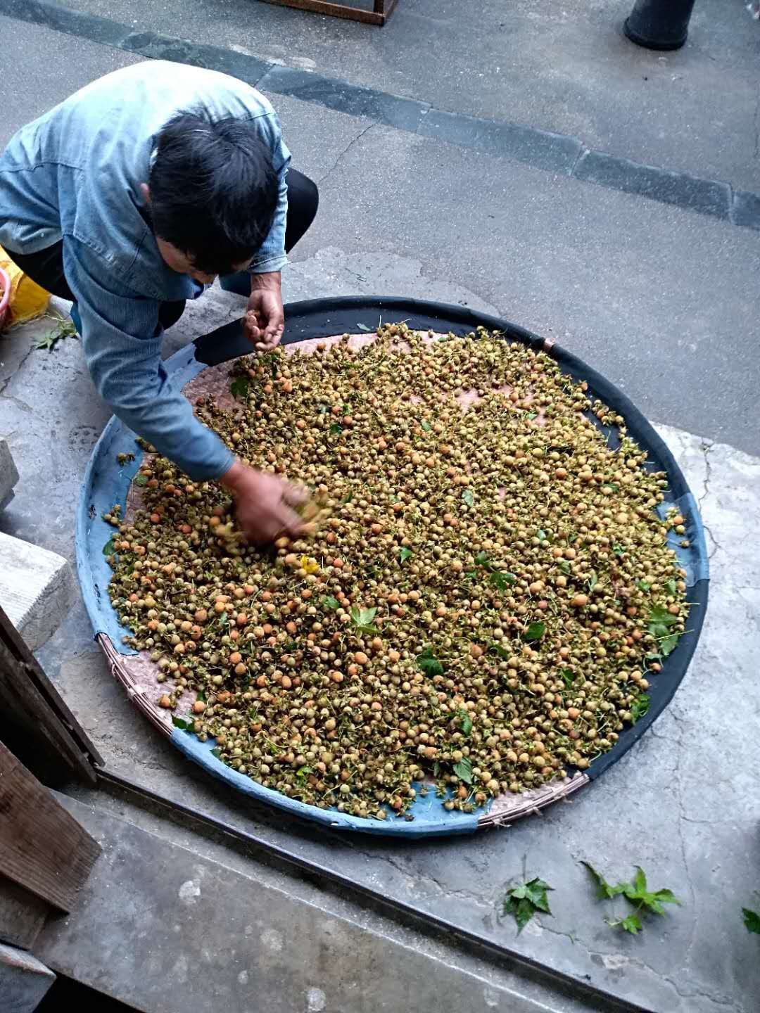  覆盆子
