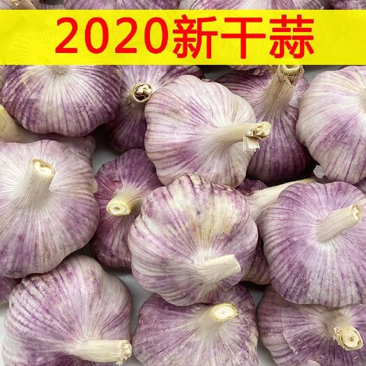 扶沟县 精装夏季凉菜饭店居家必备新鲜干蒜大蒜紫皮蒜特大蒜瓣批发包邮