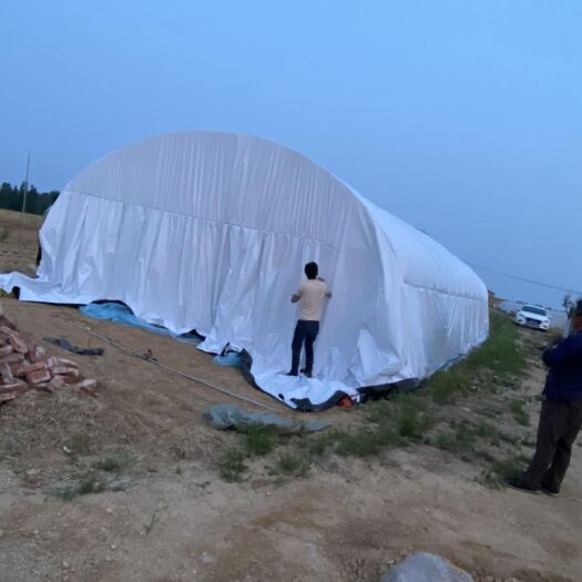 东光县连栋棚 专业连棚
