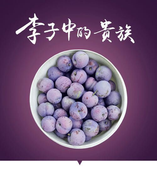 汉源县四川汉源五月脆李